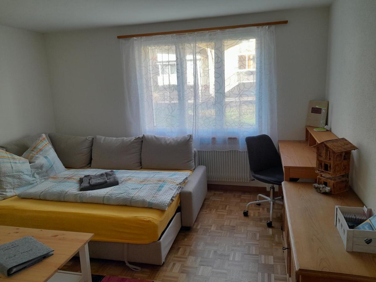 2 1/2 Zimmer Ferienwohnung 迈林根 外观 照片